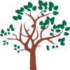 brown tree with green leaves representing growth and stability 11 branches and leaves